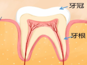 深圳杜牙根所需要嘅時間同費用係幾多？