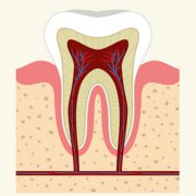 經常按摩牙齦有什麼好處？